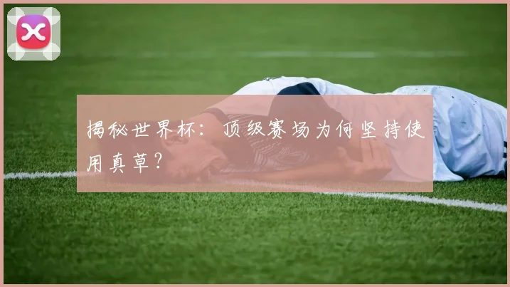 揭秘世界杯：顶级赛场为何坚持使用真草？