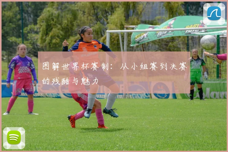 图解世界杯赛制：从小组赛到决赛的残酷与魅力