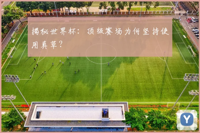 揭秘世界杯：顶级赛场为何坚持使用真草？