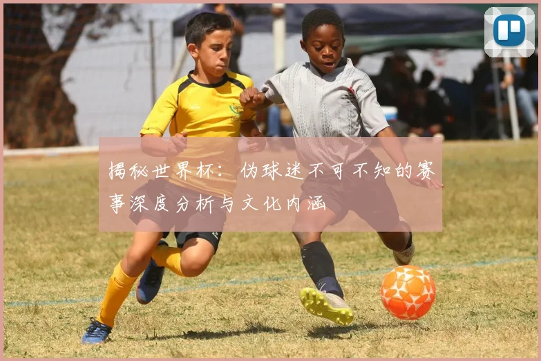 揭秘世界杯：伪球迷不可不知的赛事深度分析与文化内涵