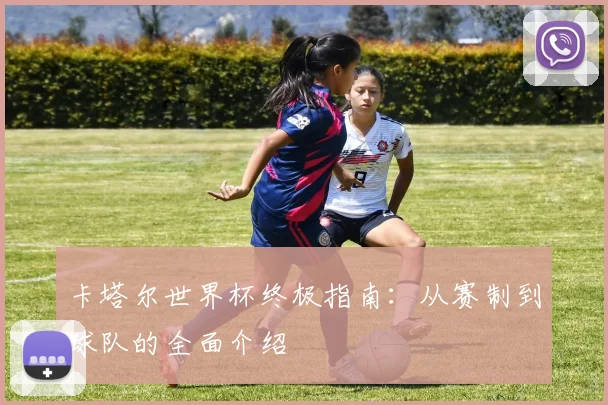 卡塔尔世界杯终极指南：从赛制到球队的全面介绍