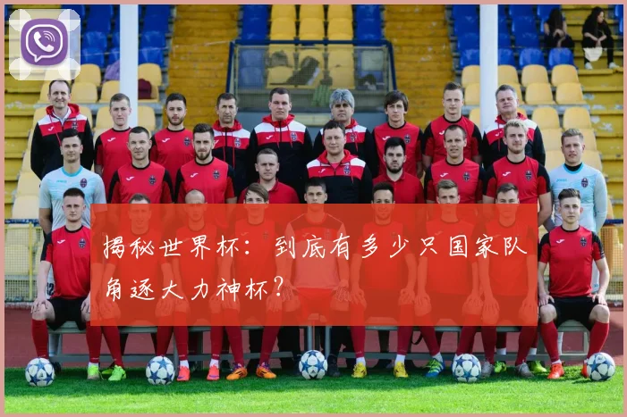 揭秘世界杯：到底有多少只国家队角逐大力神杯？
