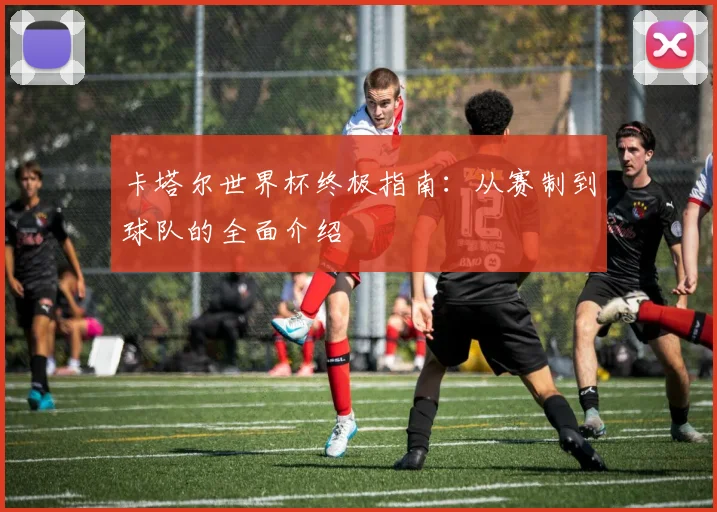 卡塔尔世界杯终极指南：从赛制到球队的全面介绍