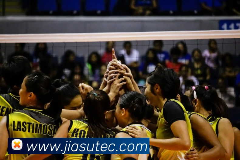 顶盛官网登录平台生态图